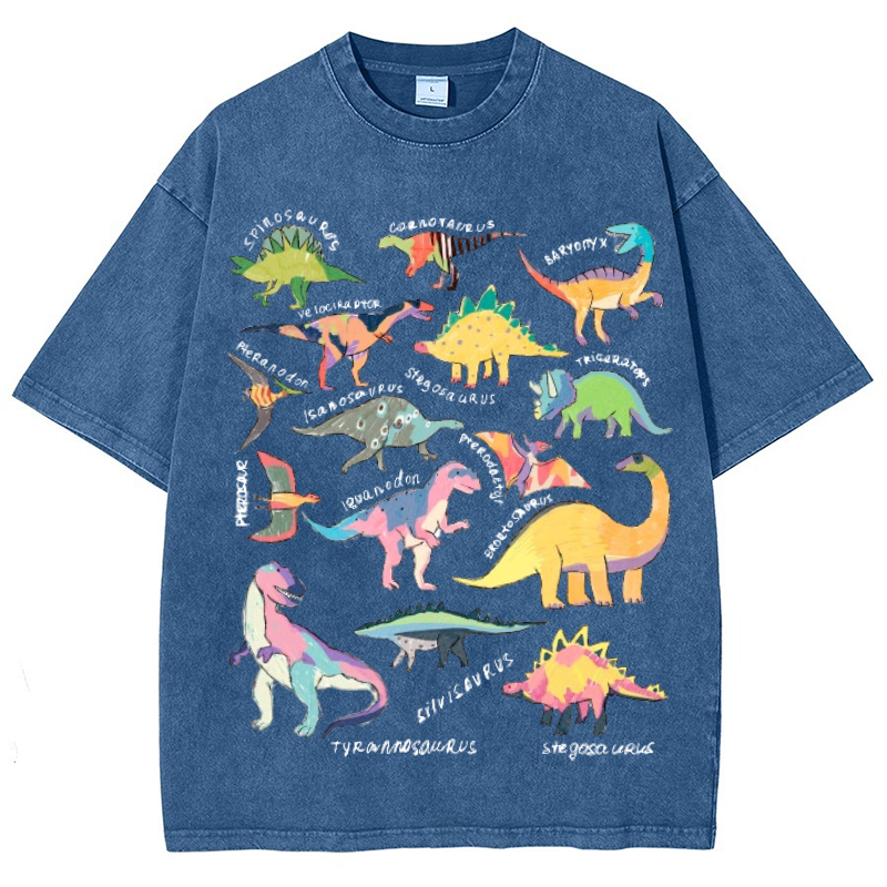 Types Of Dinosaur Vintage Snowflake Washed T-Shirt