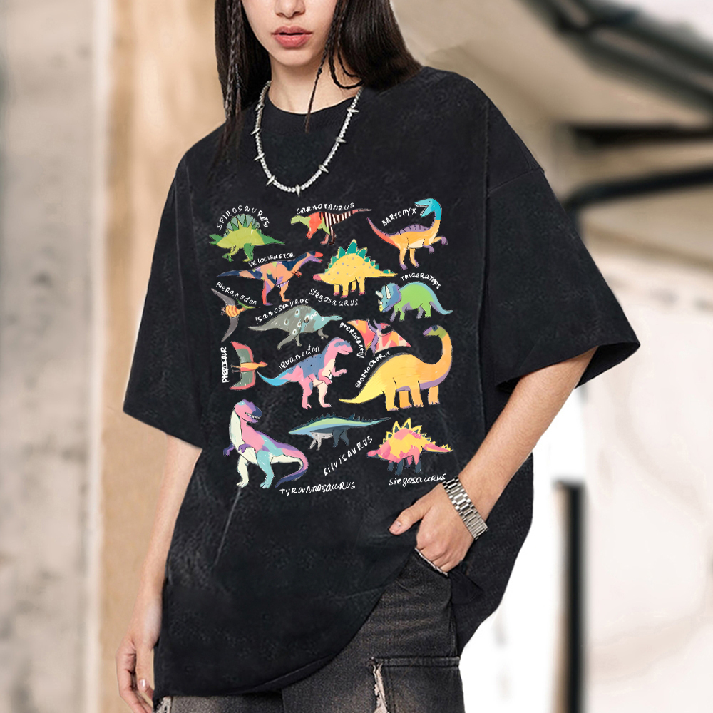 Types Of Dinosaur Vintage Snowflake Washed T-Shirt