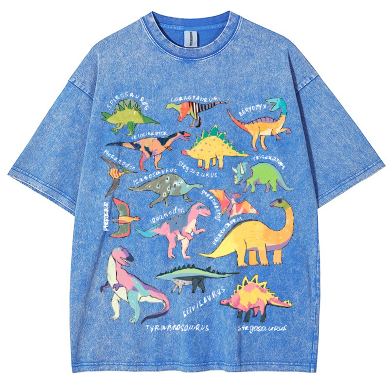 Types Of Dinosaur Vintage Snowflake Washed T-Shirt