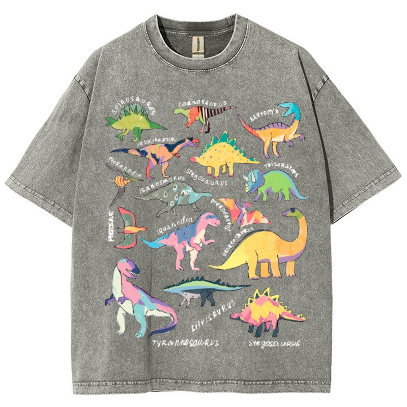 Types Of Dinosaur Vintage Snowflake Washed T-Shirt