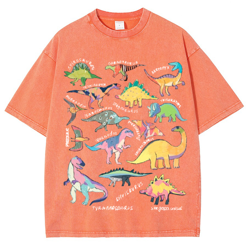 Types Of Dinosaur Vintage Snowflake Washed T-Shirt