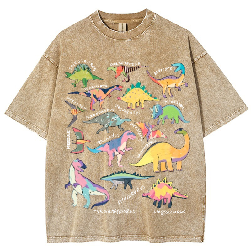 Types Of Dinosaur Vintage Snowflake Washed T-Shirt