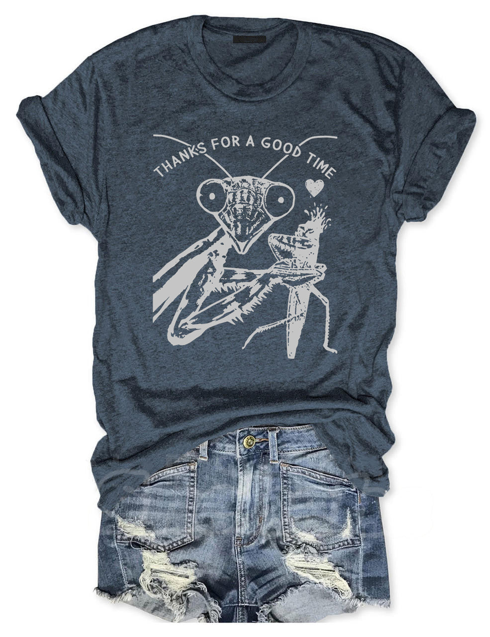 Cute Insect Praying Mantis Funny T-shirt