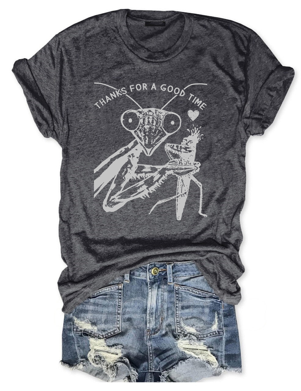 Cute Insect Praying Mantis Funny T-shirt