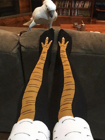 Chicken Legs Novelty Socks Funny Gift