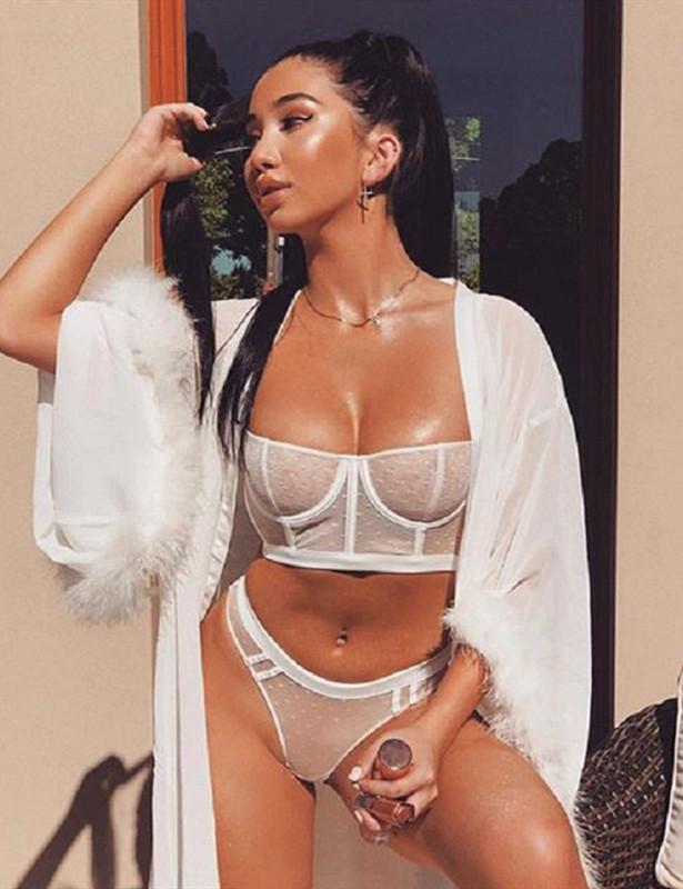 Lace Mesh Lingerie Set