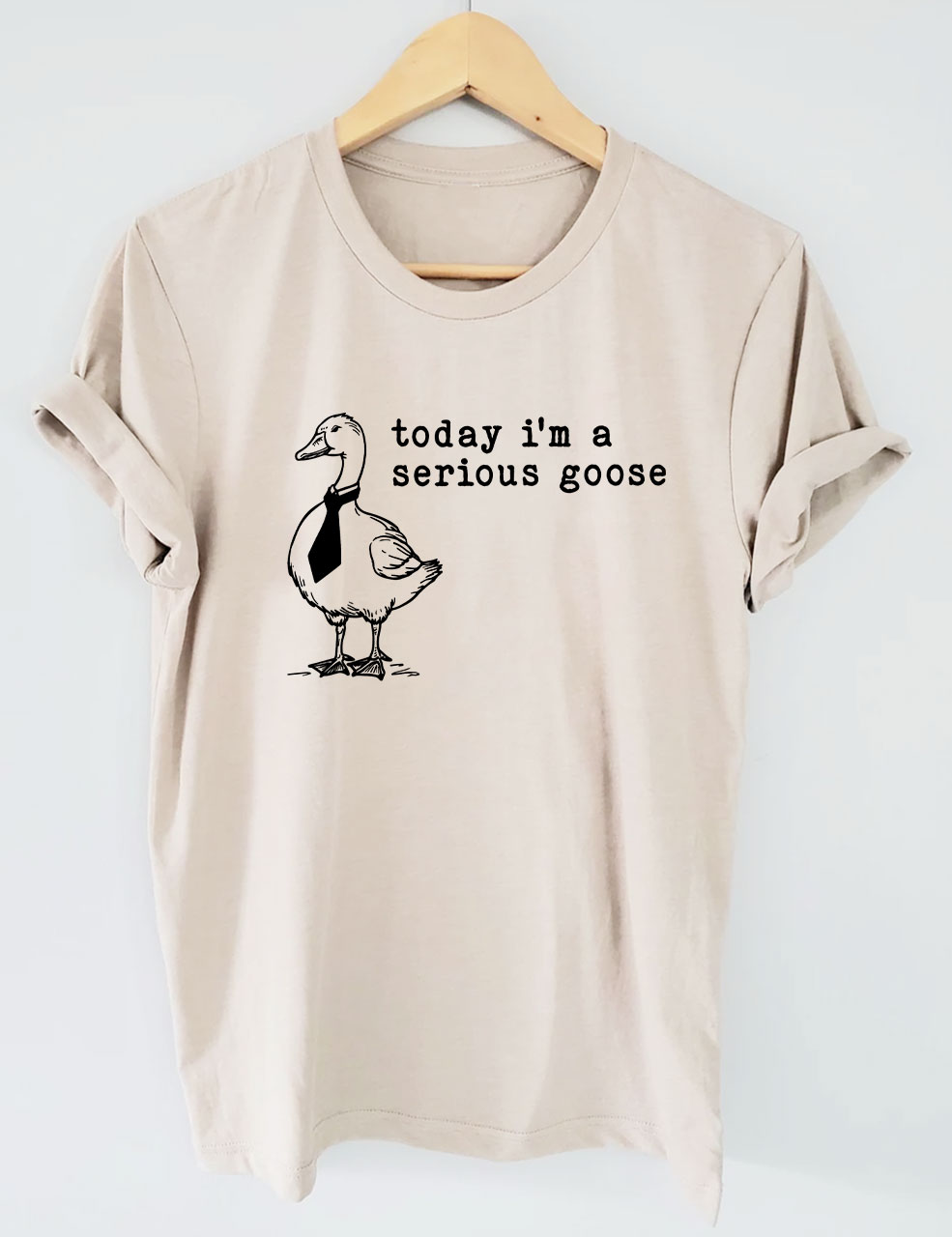 Today I'm a Serious Goose T-Shirt