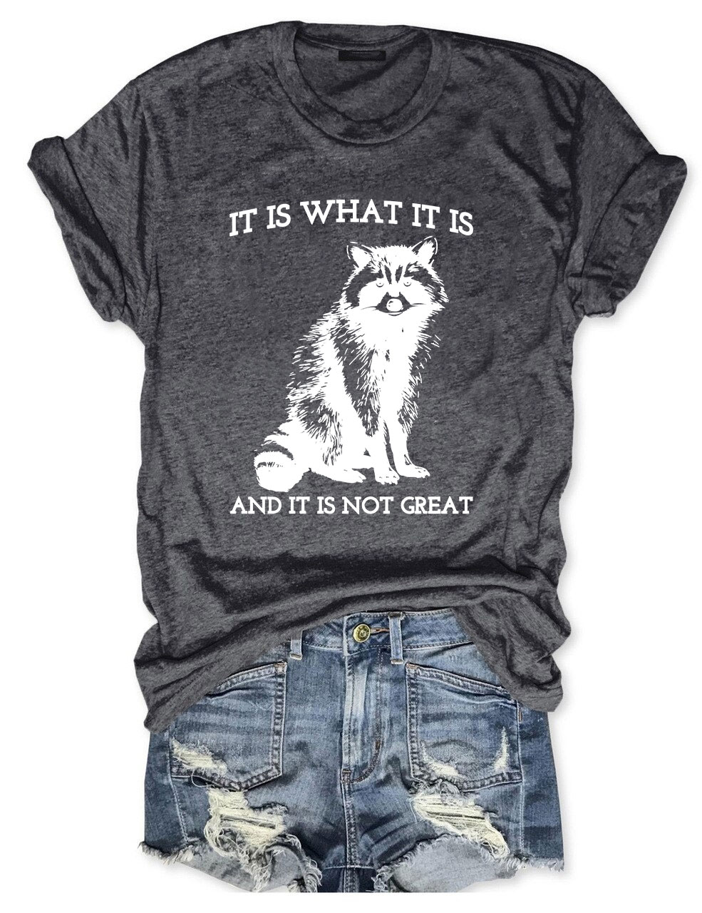 It Is What It Is And It Is Not Great T-shirt