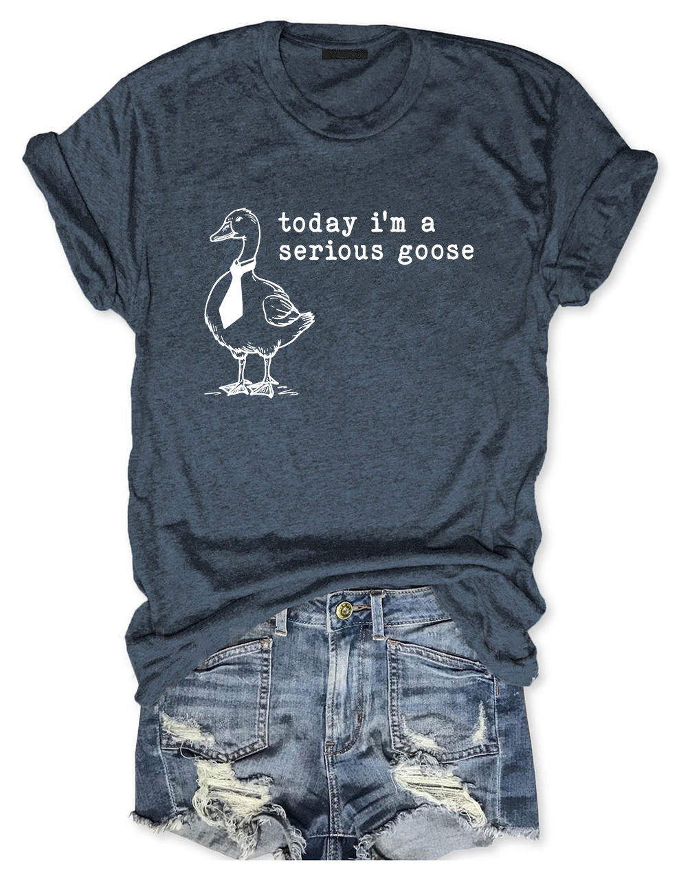 Today I'm a Serious Goose T-Shirt