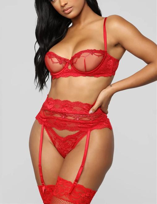 Floral Lace Garter Bra & Panty Set
