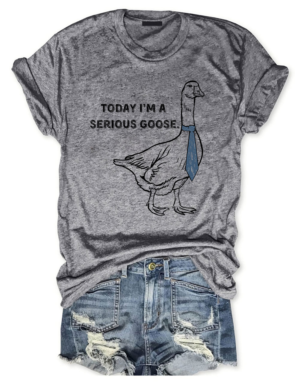 Today I'm a Serious Goose T-shirt