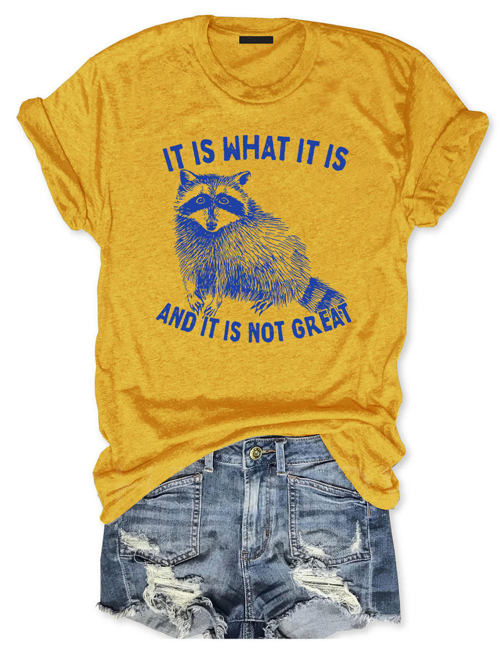 It Is What It Is And It Is Not Great Unisex T-Shirt