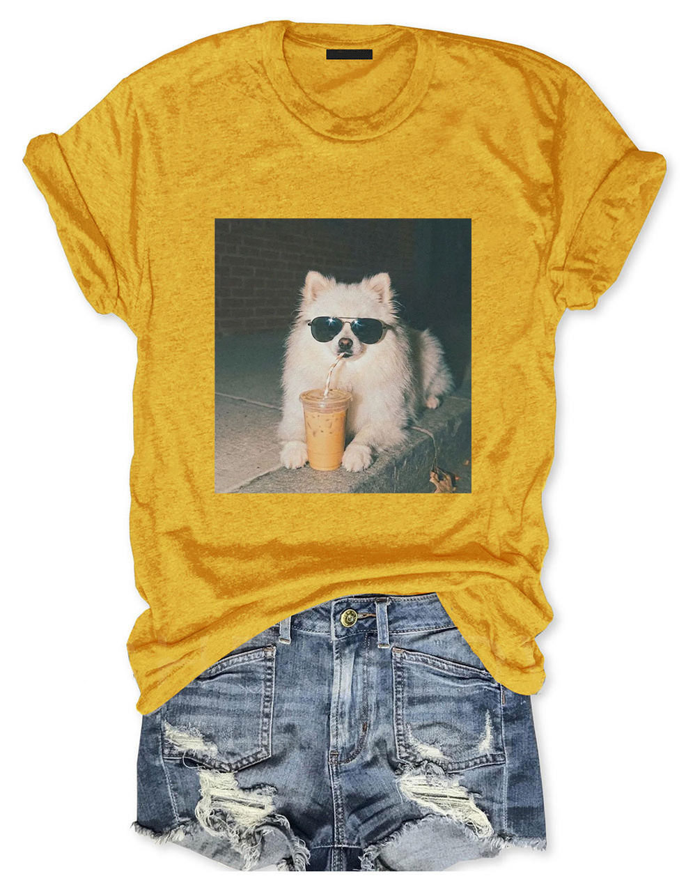 Pomeranian Drinking Iced Coffee T-shirt