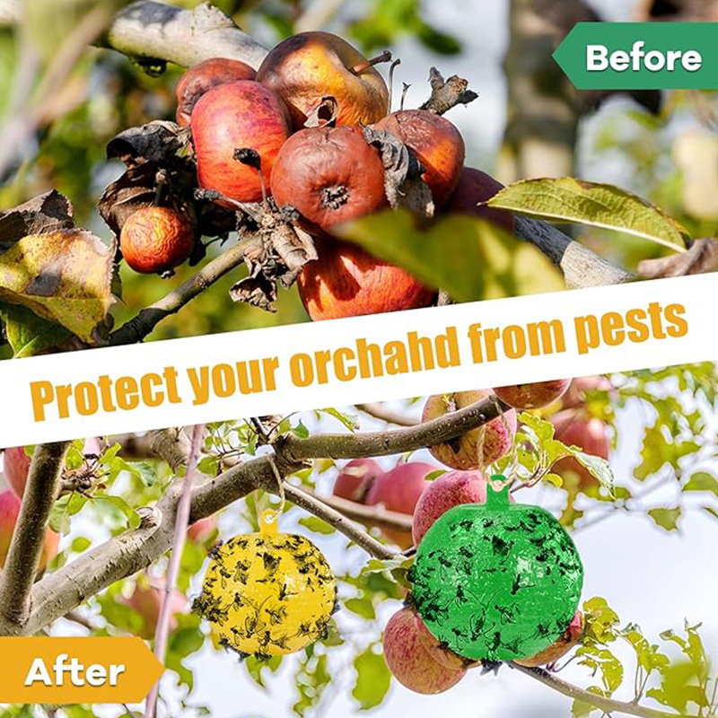 🔥 HOT Sale 60% OFF🔥——Fruit Fly Traps Sticky Traps Ball