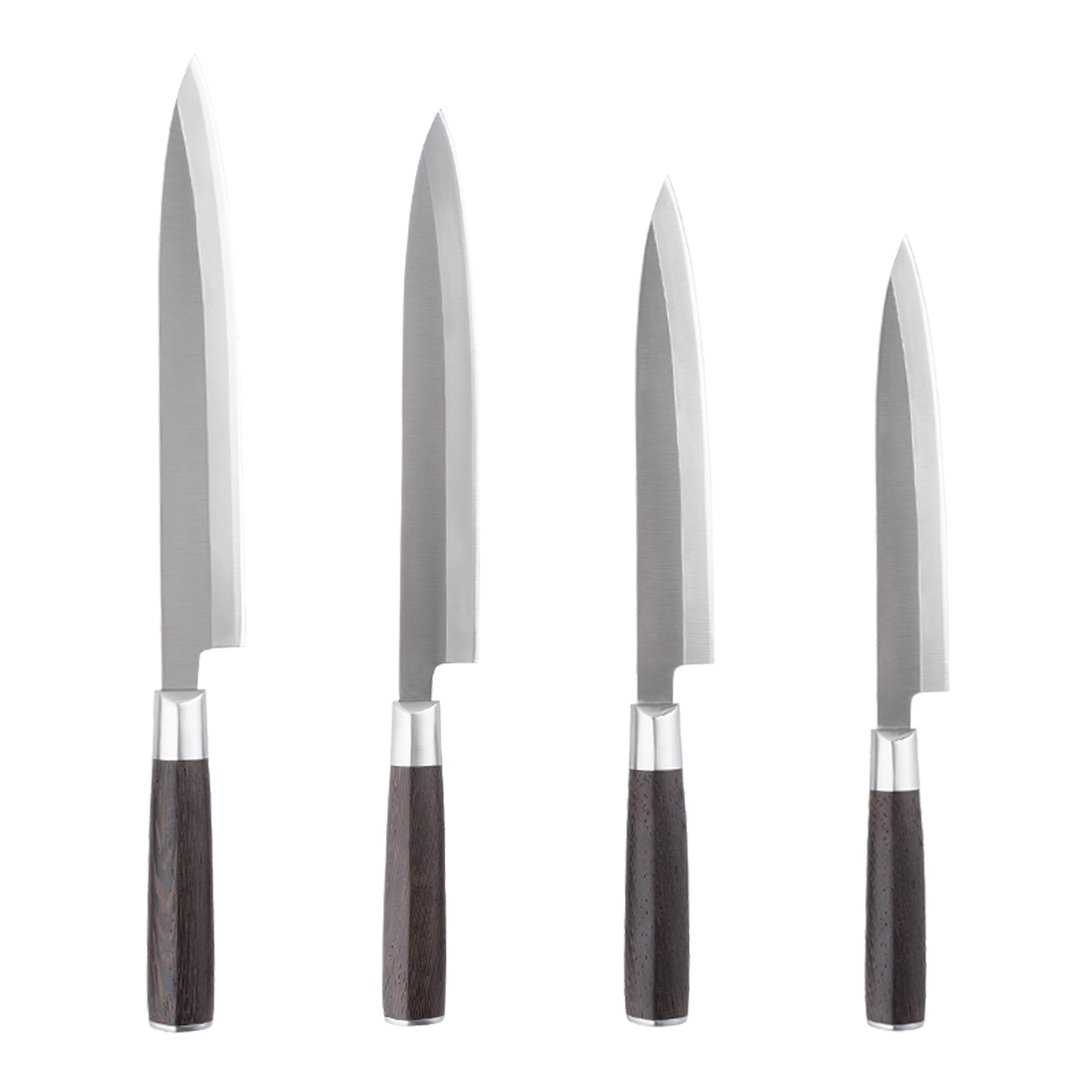 4 pcs Slicing Sashimi Knife set