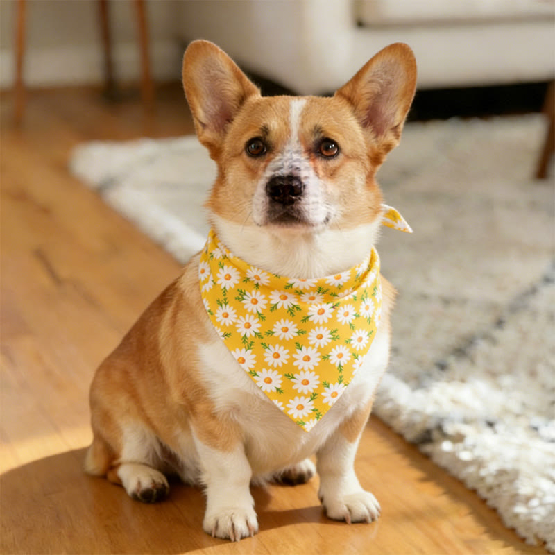 Cute Floral Pattern Prints dog and cat bandana - 3 - 45*45 - image 6