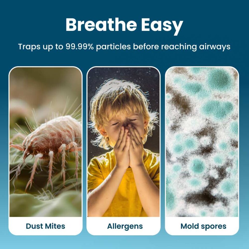 Household Anti-Mold Box: Powerful Mold Odor Remover, Moisture Absorber, and Mold Preventer