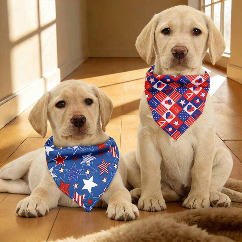 American Independence Day Pattern Print Cat And Dog Bandana - image 1