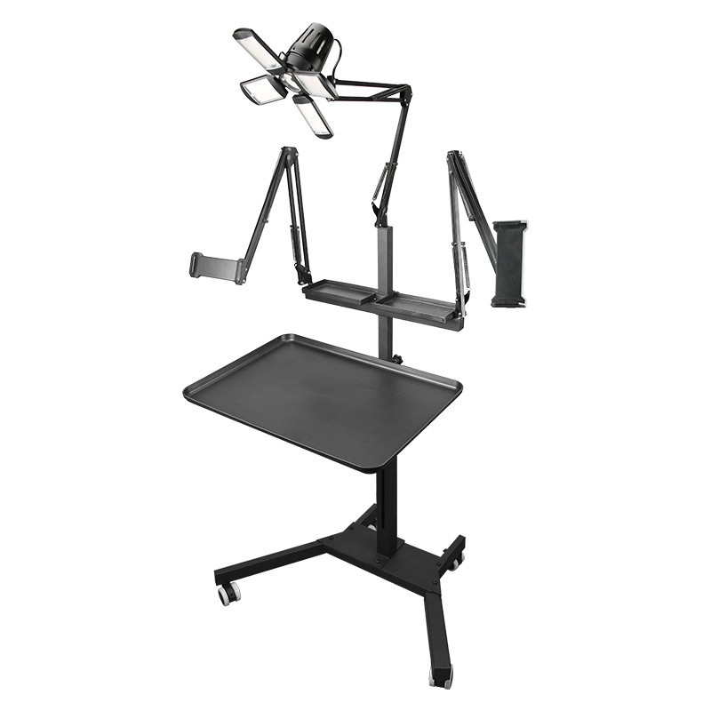 TAIDU Multi-functional double holder tattoo bench with light