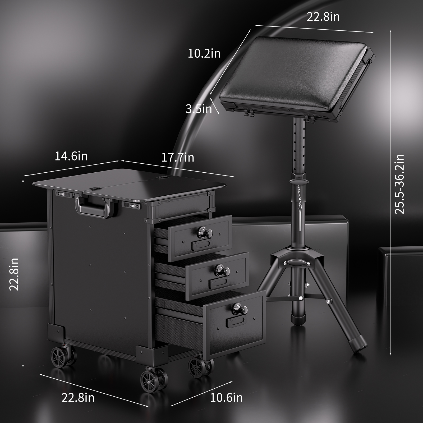 TAIDU NEW ST-27 Travel Tattoo Suitcase Trolley Case