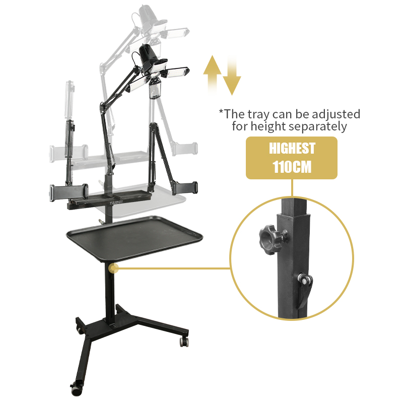 TAIDU Multi-functional double holder tattoo bench with light