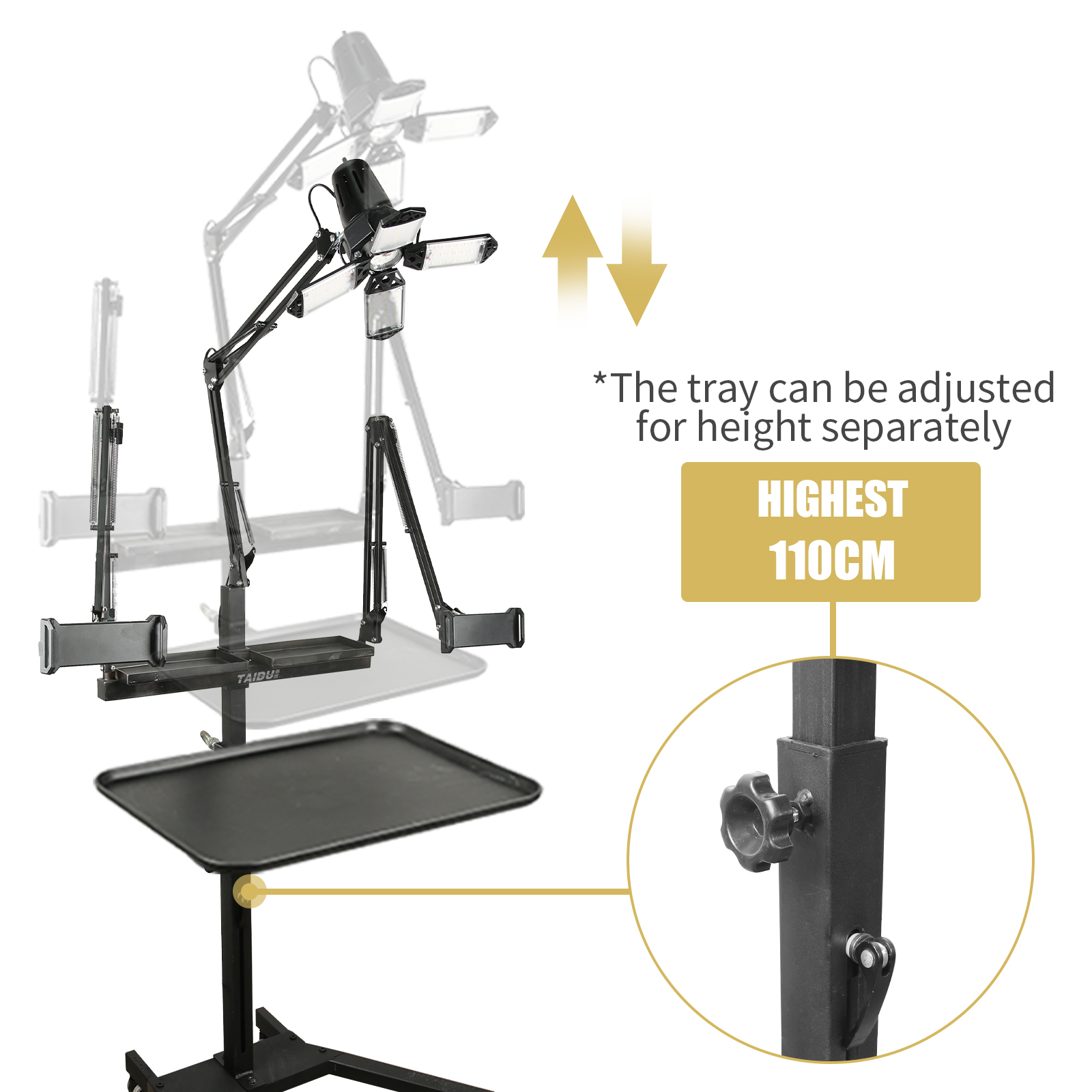 TAIDU Multi-Functional Double Holder Tattoo Bench with Light and Socket