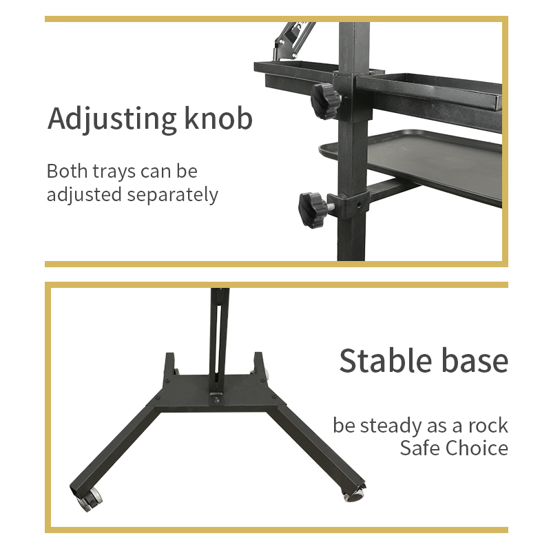 TAIDU Multi-functional double holder tattoo bench with light