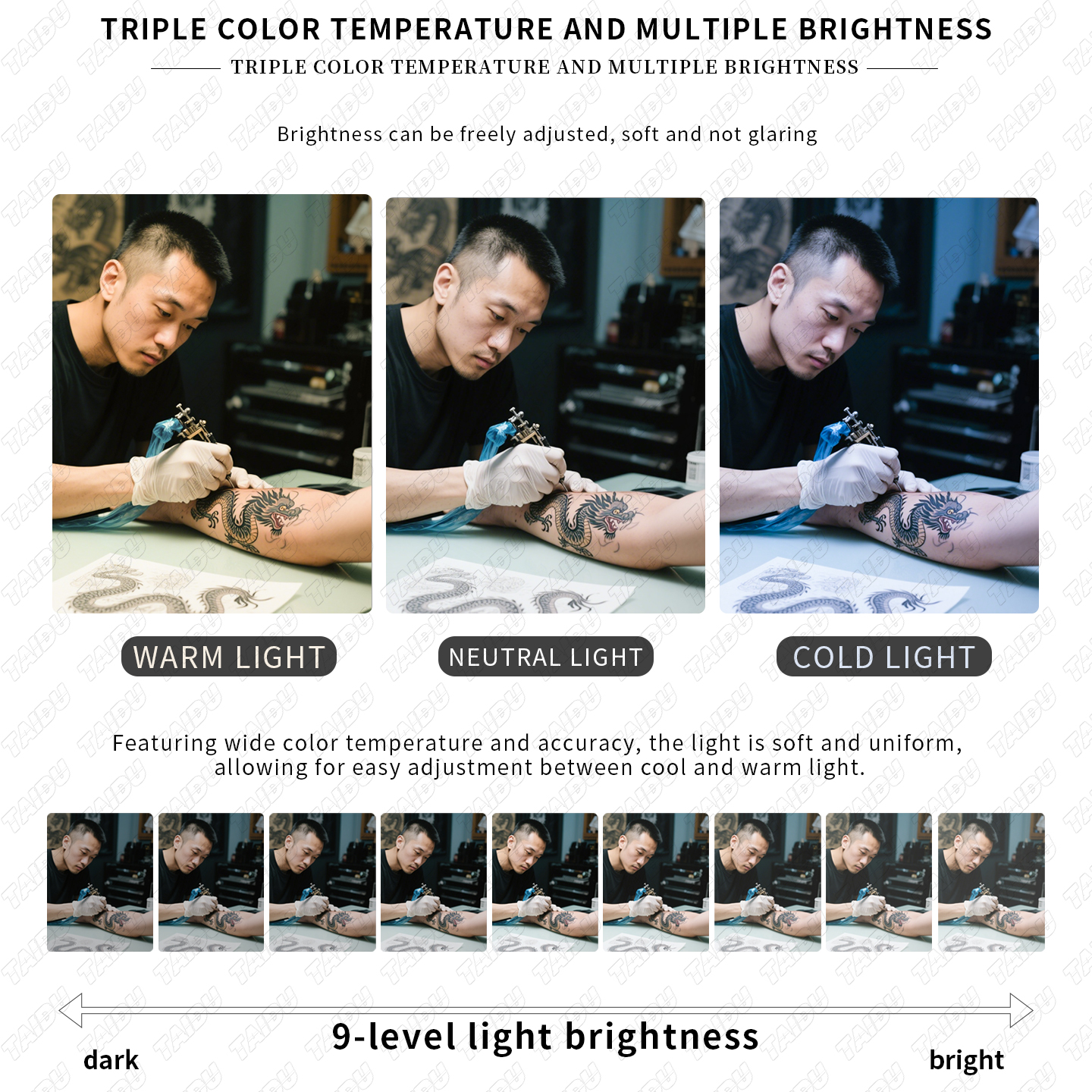 TAIDU Professional Tattoo Workstation with Foldable Half-Moon Light