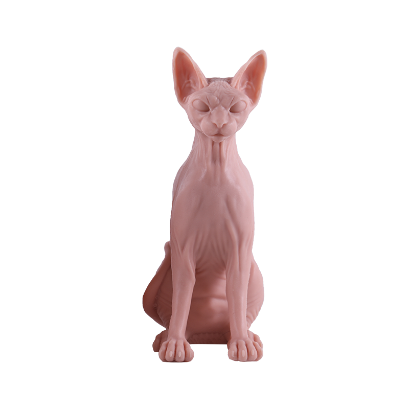 TAIDU High-quality simulation silicone cat tattoo model practice skin