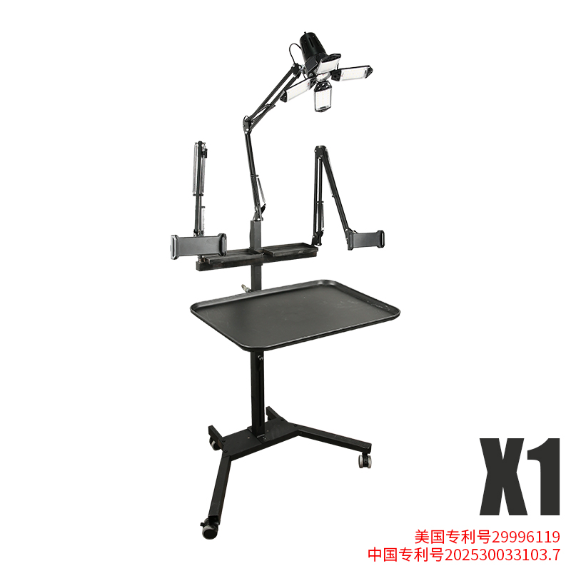 TAIDU Promotion Multi-functional double holder tattoo bench with light