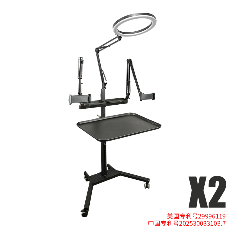 TAIDU Promotion Multi-functional double holder tattoo bench with light