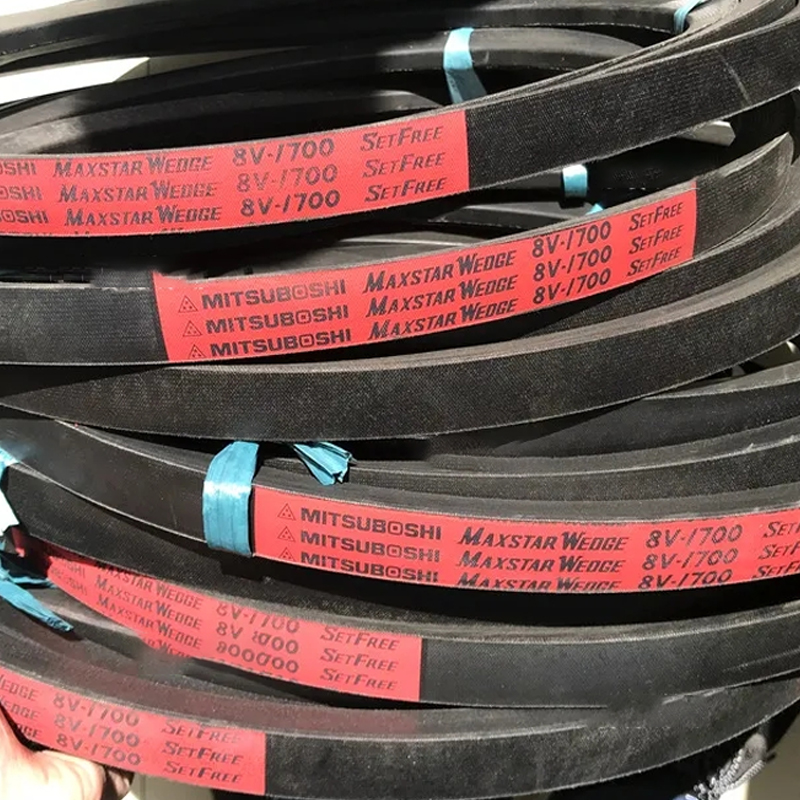 Mitsuboshi V Belt 8V 5000 8V5600-ZHENDE