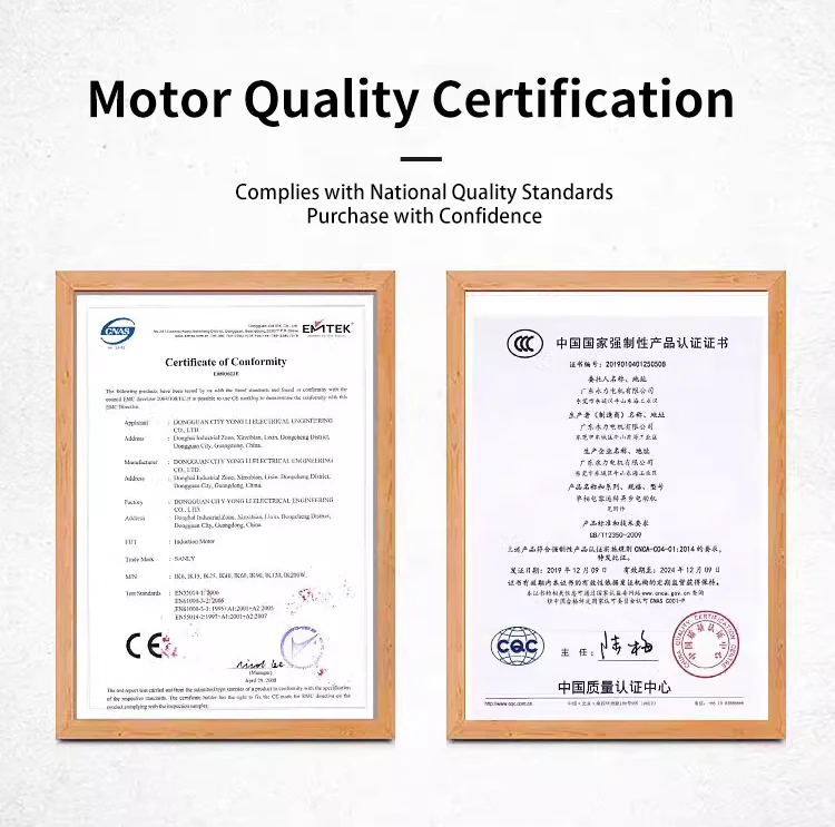 Manufacture Induction Gear Motor 90mm Flange 50/60Hz 90W Induction Motor with Gearbox AC Gear Motor 5IK60GN