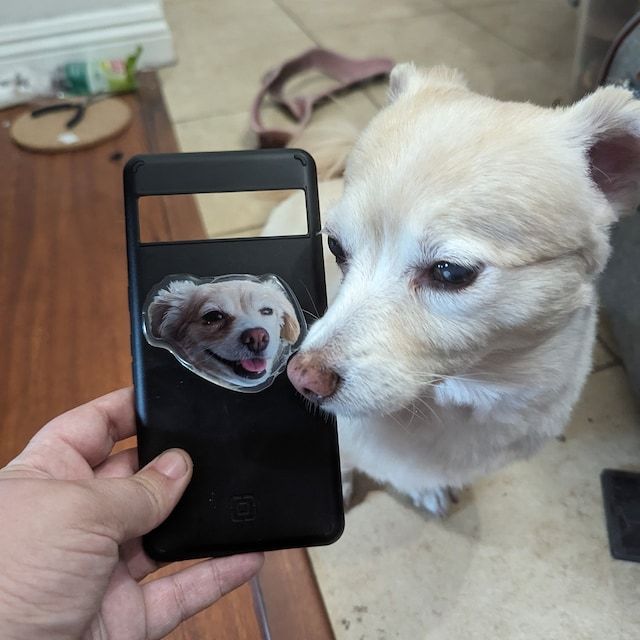 Personalized Cute Profile Photo Phone Grip | OFStand04