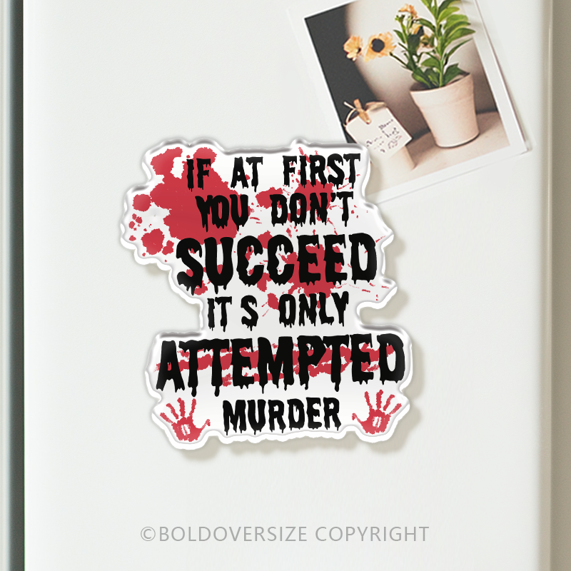 Vintage If At First You Don'T Acrylic Refrigerator Magnets