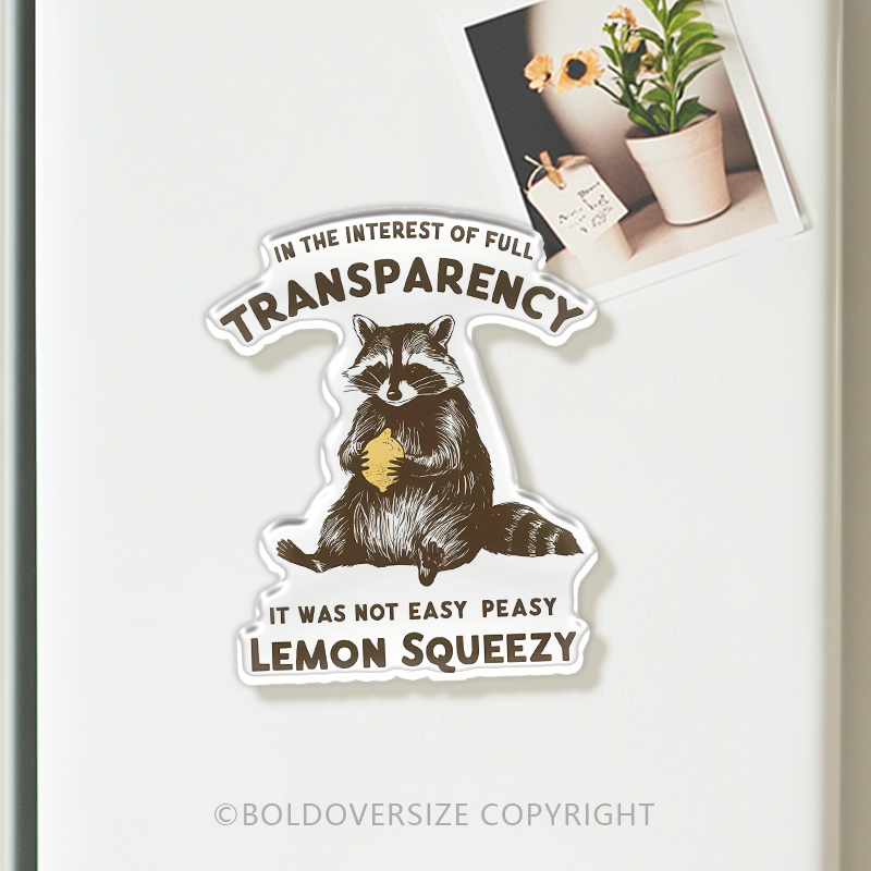 Vintage Lemon Squeezy Acrylic Refrigerator Magnets