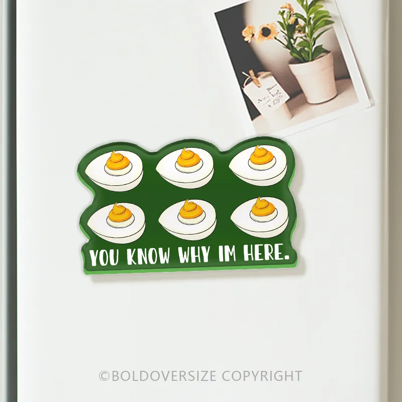 You Know Why I'm Here Refrigerator Magnets