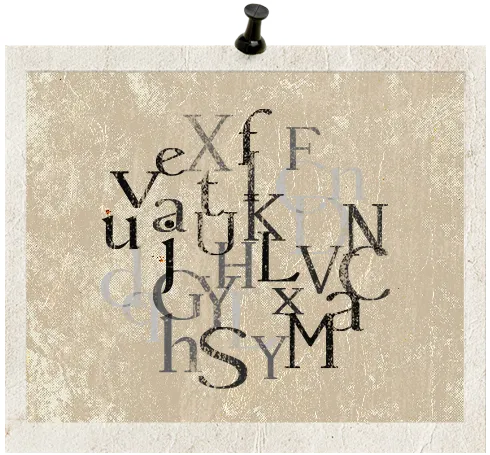 plus size,bold oversize,funny words