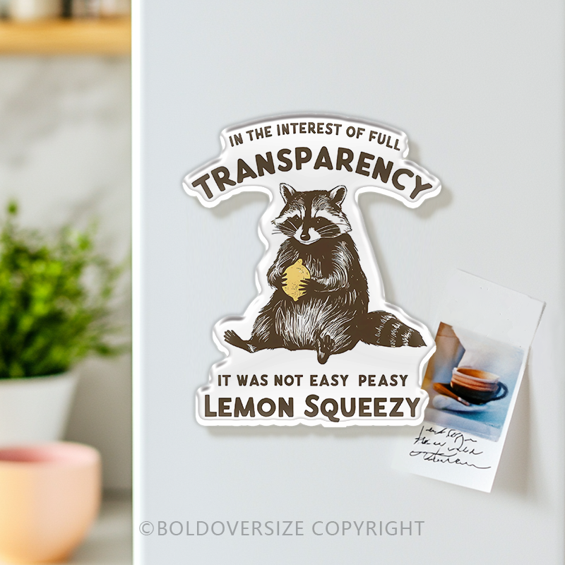 Vintage Lemon Squeezy Acrylic Refrigerator Magnets