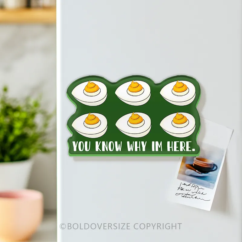 You Know Why I'm Here Refrigerator Magnets