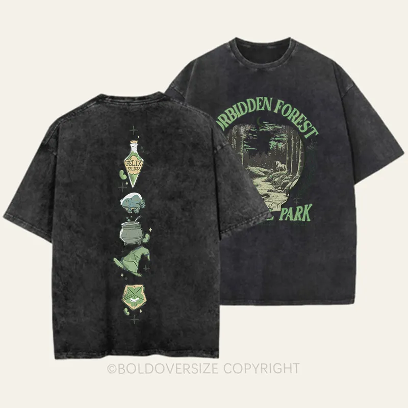 Vintage National Park 2 Side Patten Washed T-Shirt