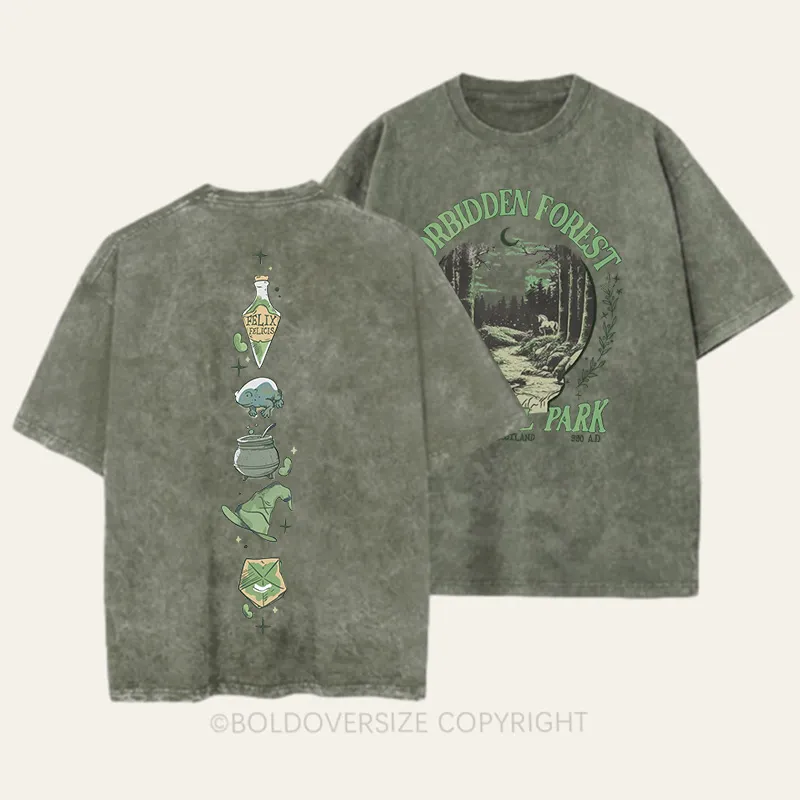 Vintage National Park 2 Side Patten Washed T-Shirt