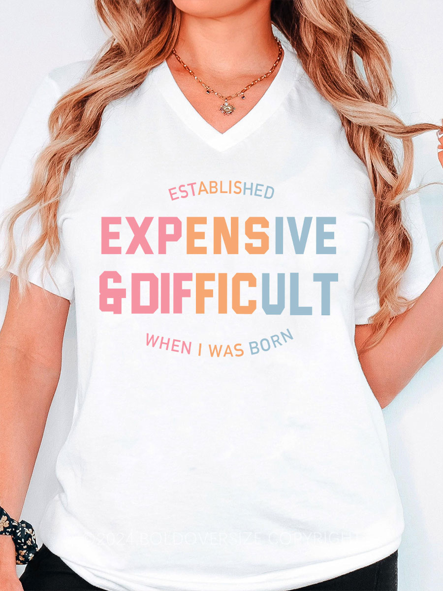 Vintage Expensive & Difficult V-Neck Tee