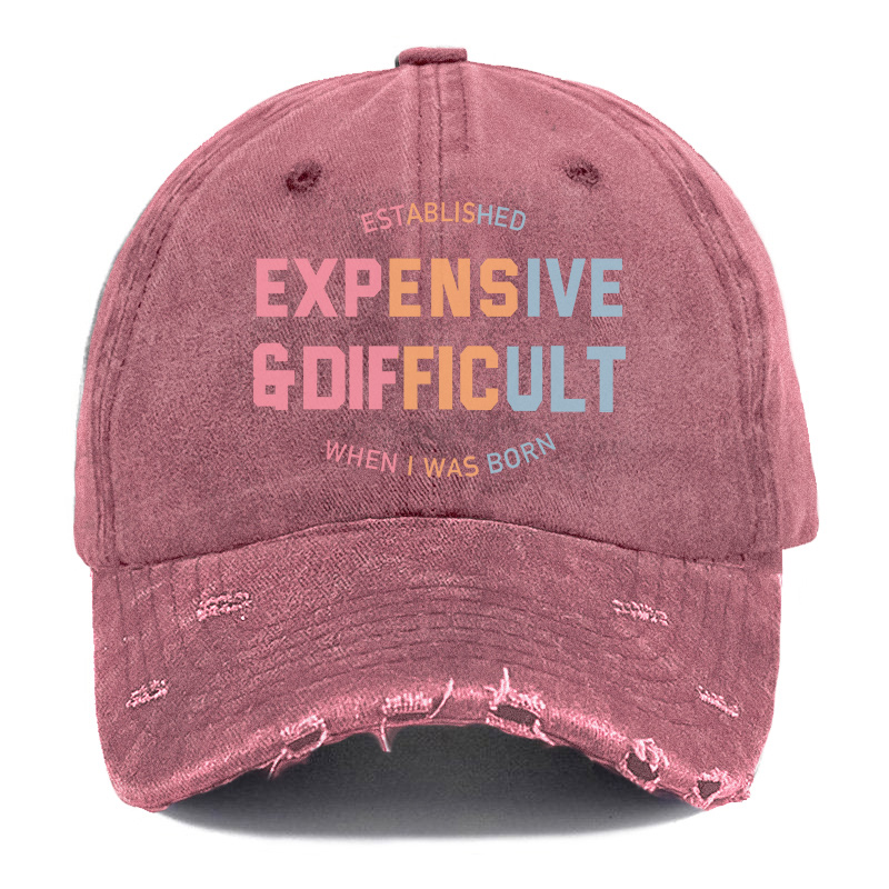 Vintage Expensive & Difficult Ripped Washed Cap