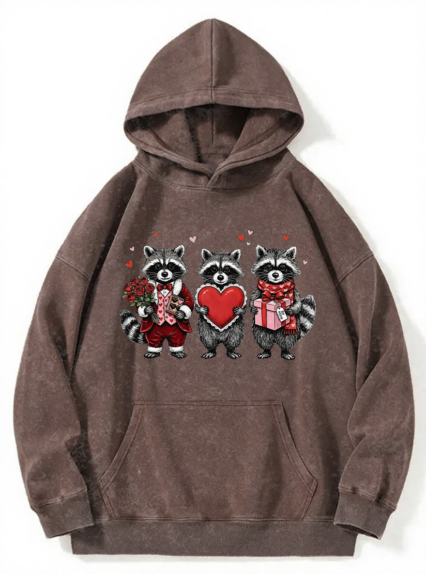 Vintage Valentines Raccoon Washed Hoodie