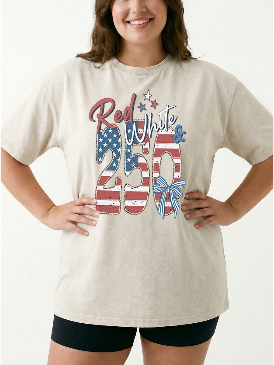 Vintage Red White & 250 Anniversary Washed T-Shirt