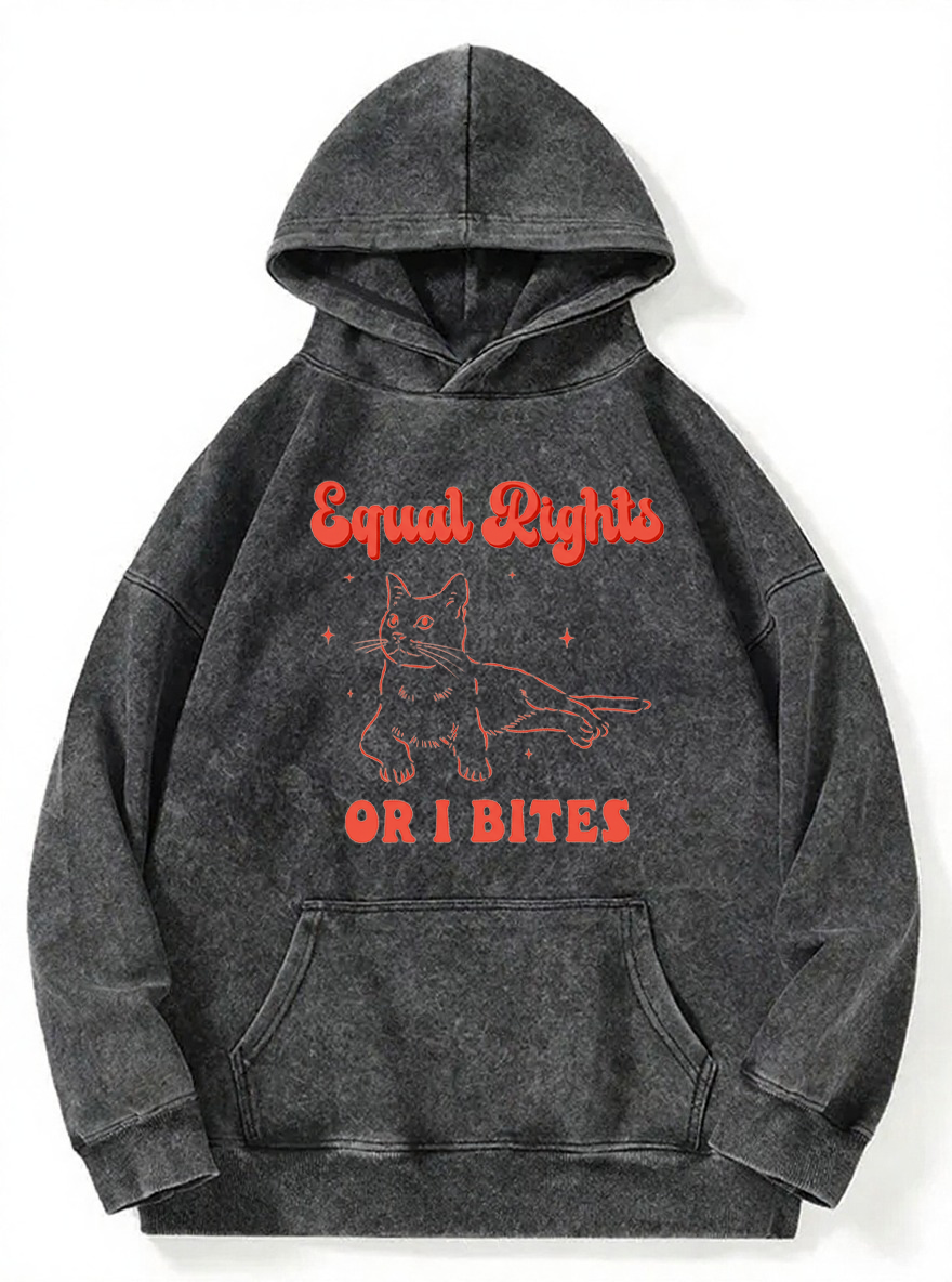 Vintage Equal Rights Or I Bites Cat Washed Hoodie
