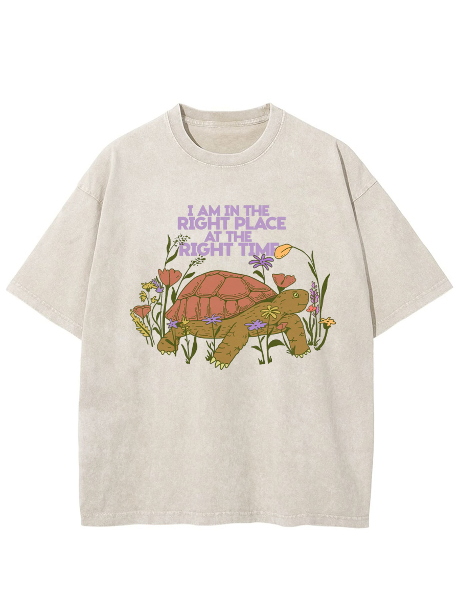 Vintage I Am In The Right Place At The Right Time Washed T-Shirt