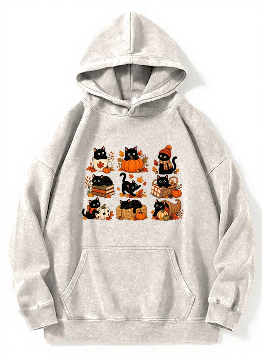 Vintage Fall Cat Washed Hoodie