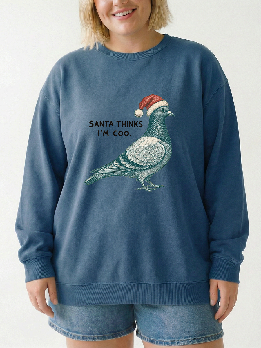 Vintage Pigeon Pun Christmas Sweatshirt